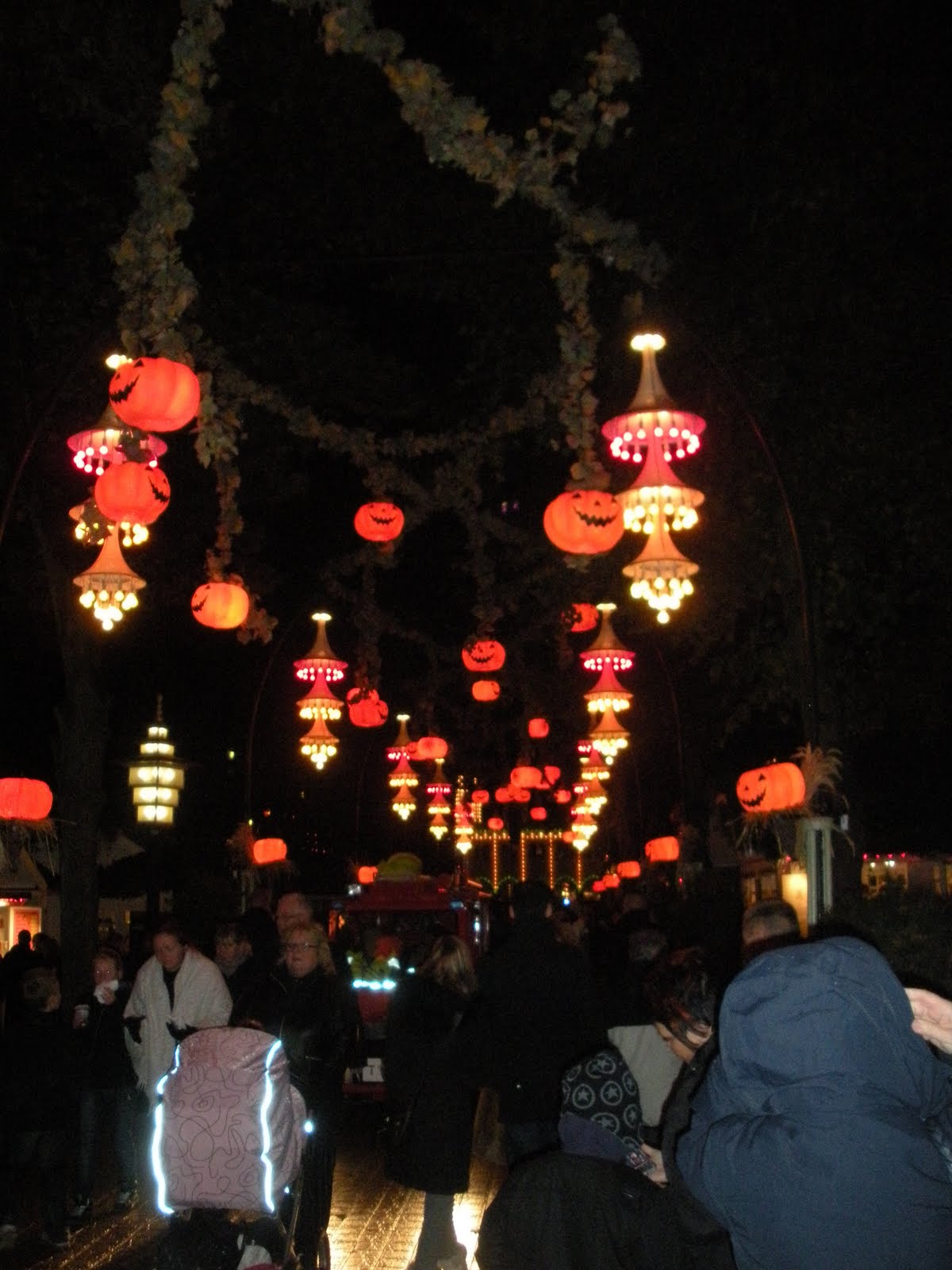 [DSCN3239.JPG]