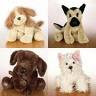 Webkinz Dogs