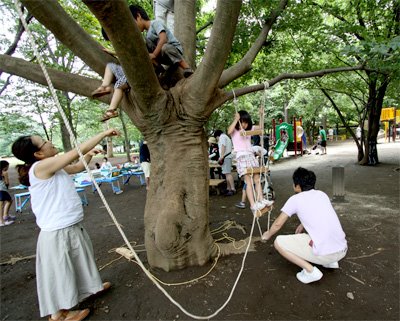 [20090725d.jpg]