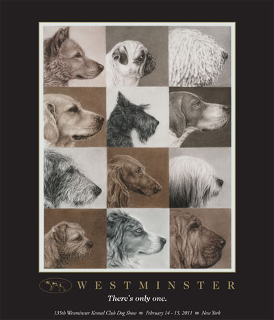 Dog+breeds+poster+free