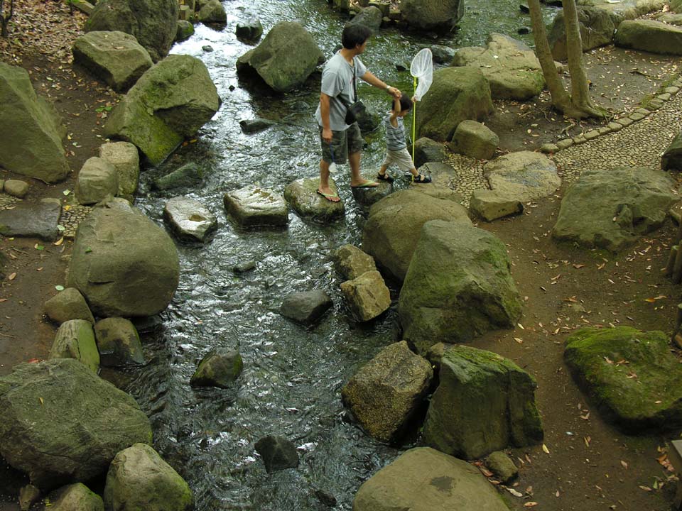 [DSCN4675xa.JPG]