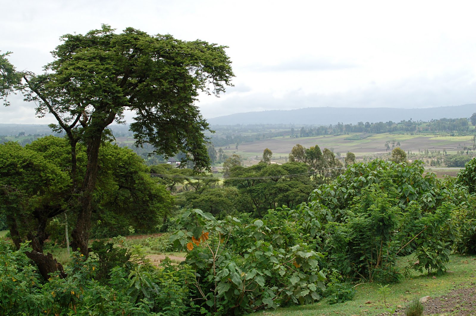 Ethiopia Countryside