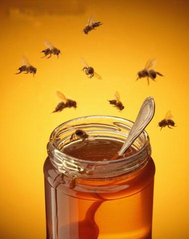 la Miel de Abeja y cómo saber si es pura. la Miel de Abeja y cómo saber si es pura.