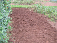 freshly dug earth