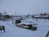 snowy allotments