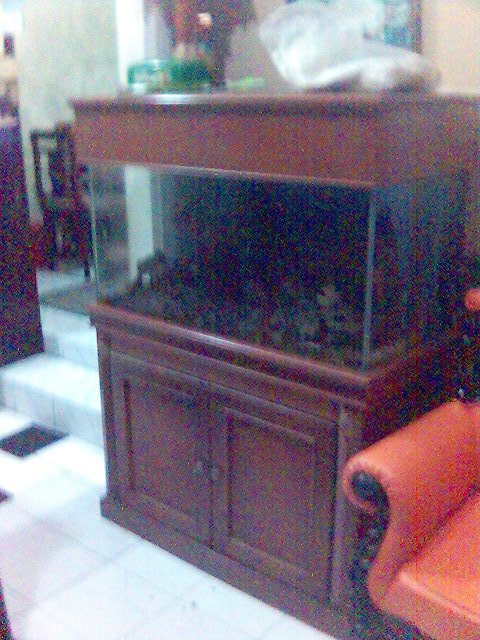 di jual cepat aquarium ex Ikan laut komplit