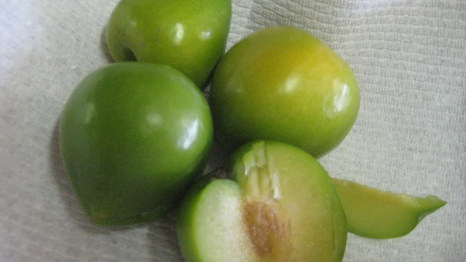 Otow Orchard Fruit Stand Kelsey Plums