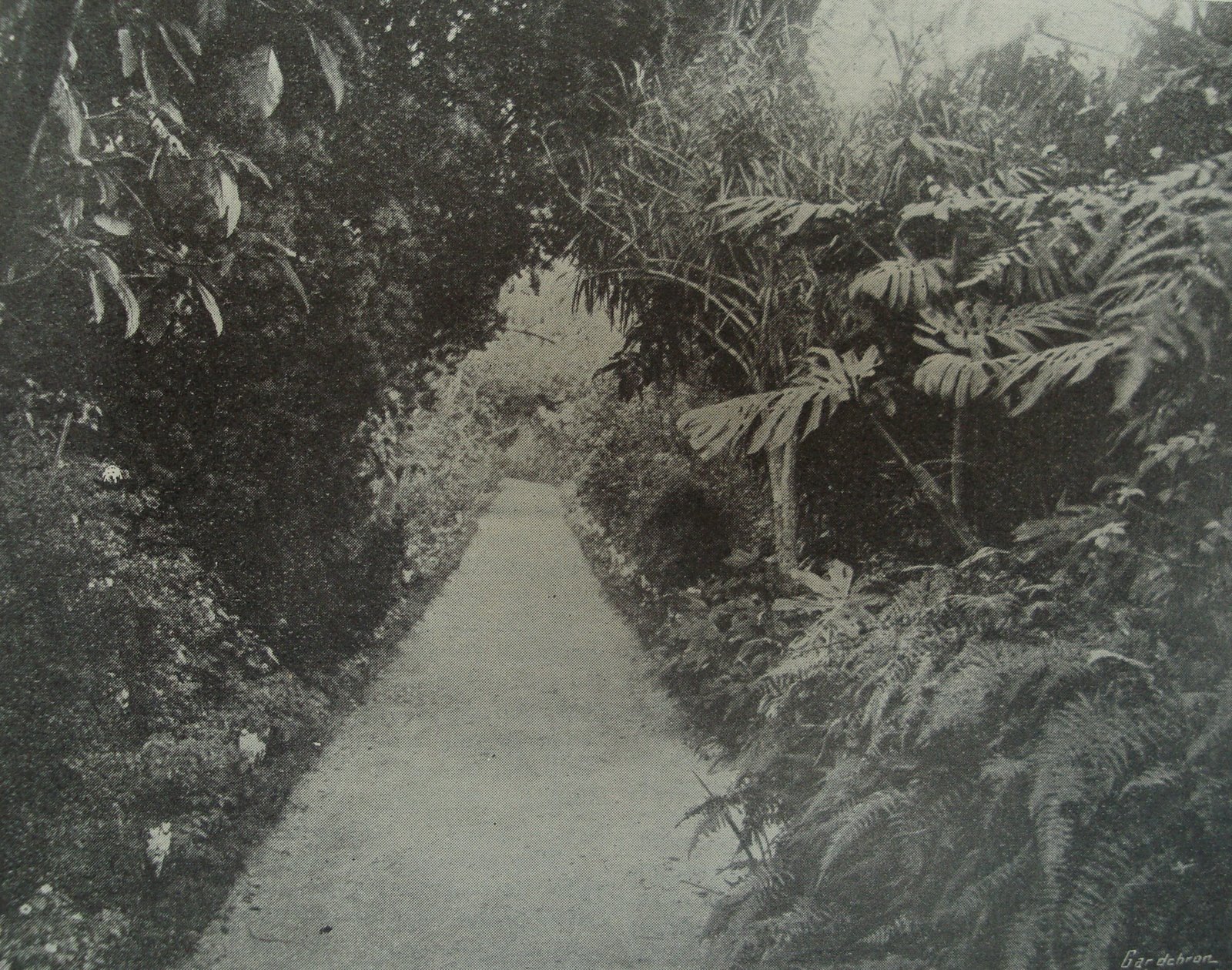 [DSC00810+Tank+Walk.jpg]