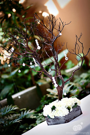 Manzanita Centerpieces Manzanita Centerpieces
