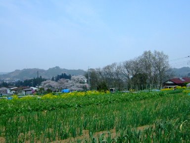 [DSCF7760.JPG]