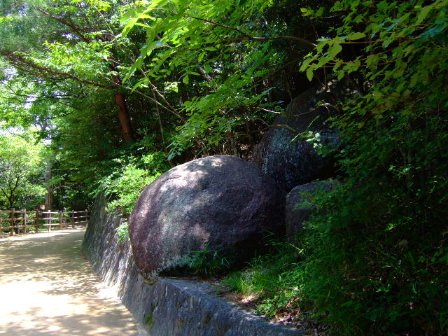 [DSCF8463.JPG]