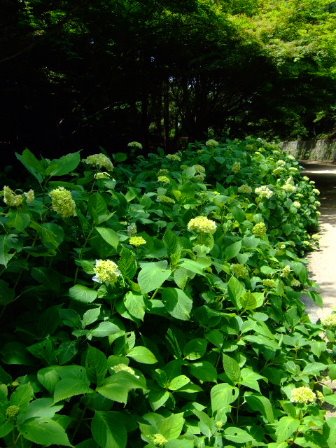 [DSCF8455.JPG]