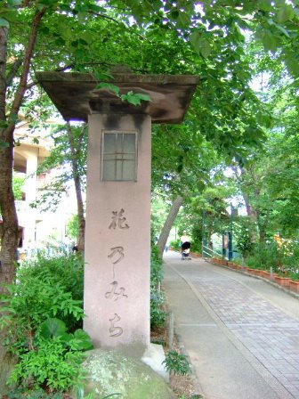 [DSCF8193.JPG]