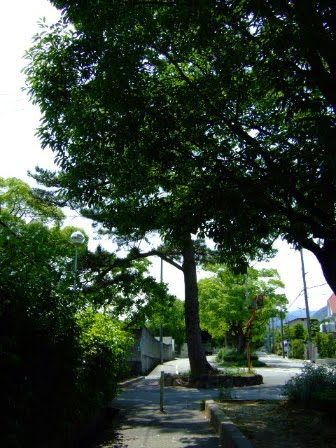 [DSCF8532.JPG]