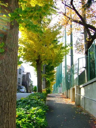 [DSCF9612.JPG]