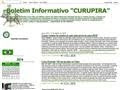 Boletim Informativo CURUPIRA