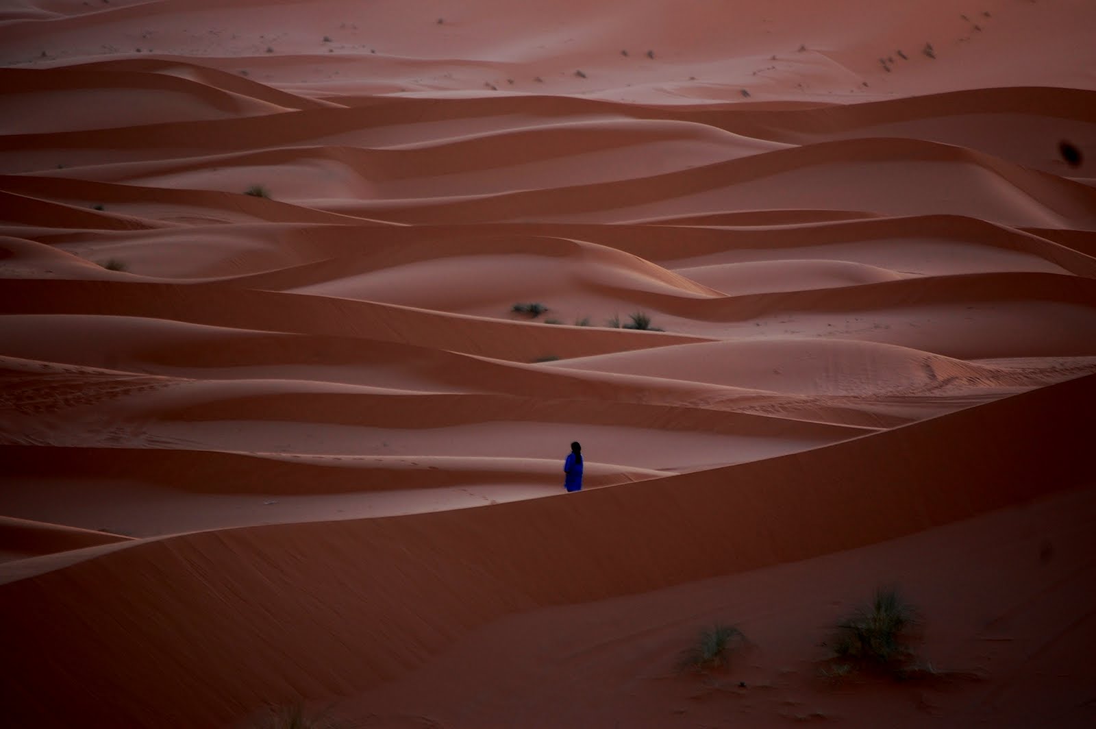 [DSC_0954.JPG]