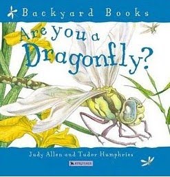 when a dragonfly visits you