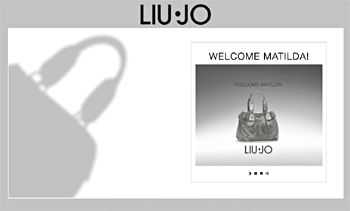Liu Jo Matilda bag