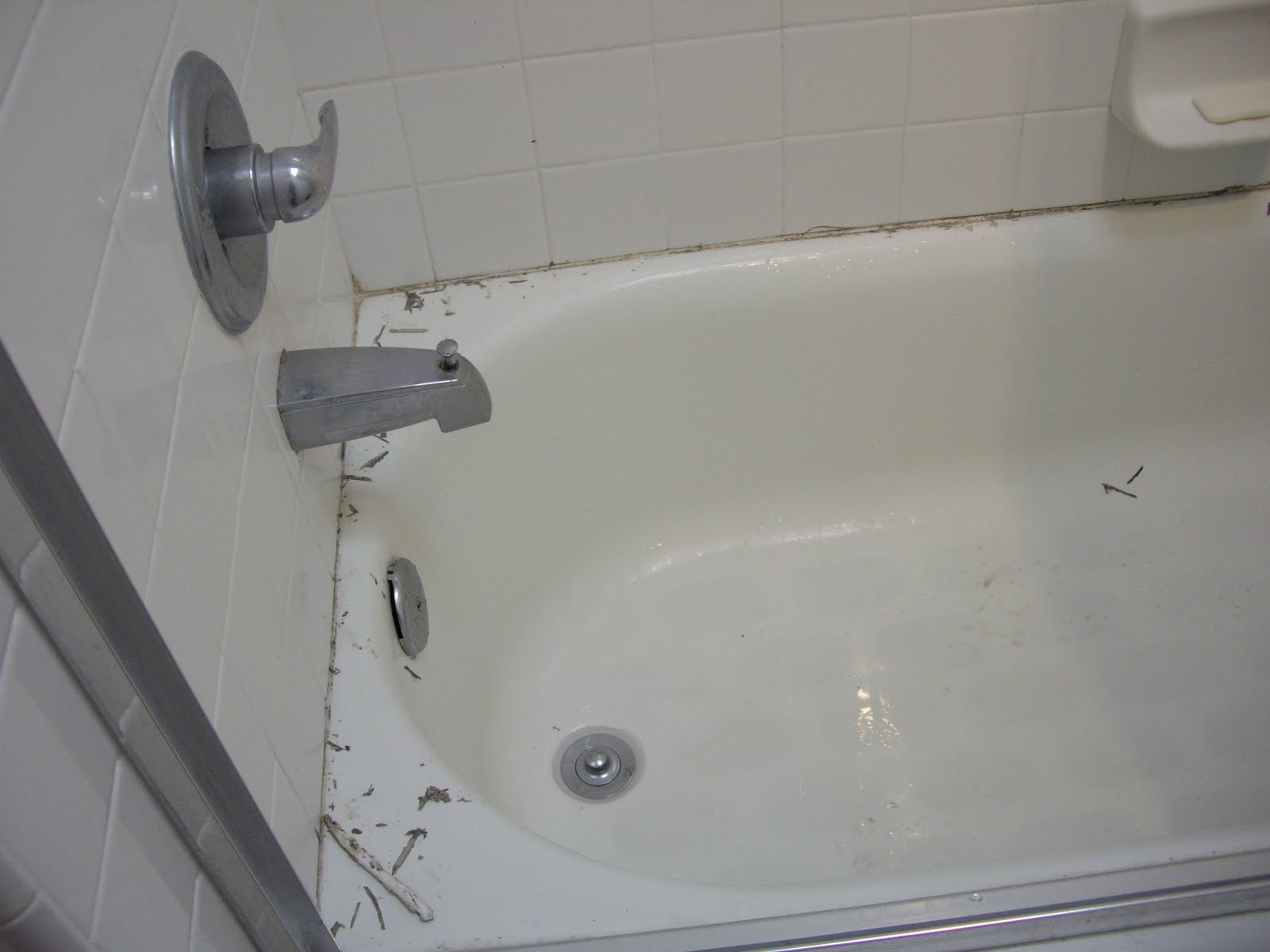 Old Bathtub