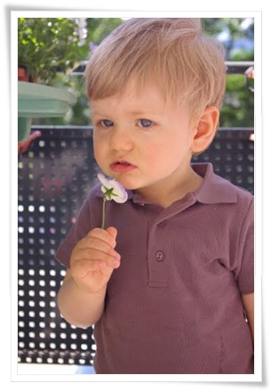 [imieniny.JPG]