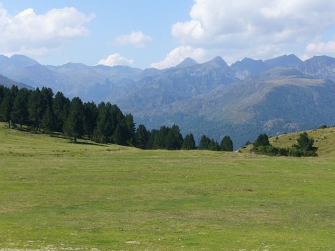 [P1020205.JPG]