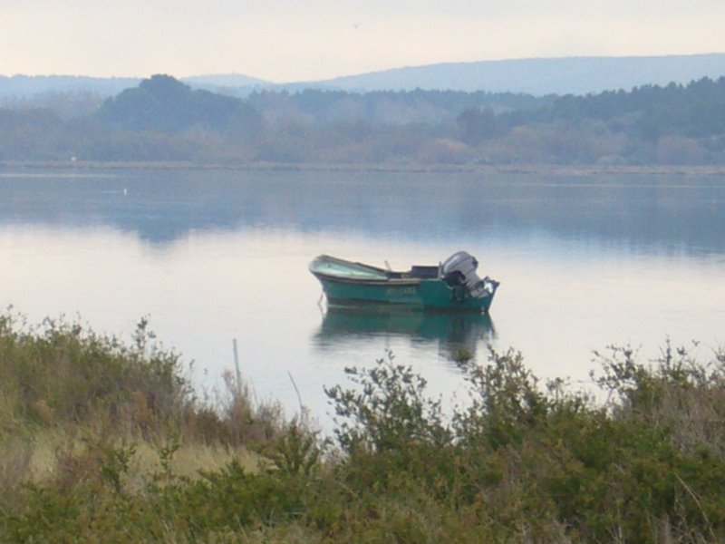 [P1010141.JPG]