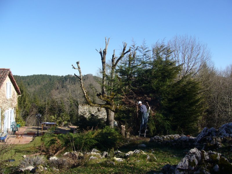 [P1020462.JPG]