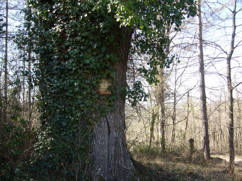 [P1020477-1.JPG]