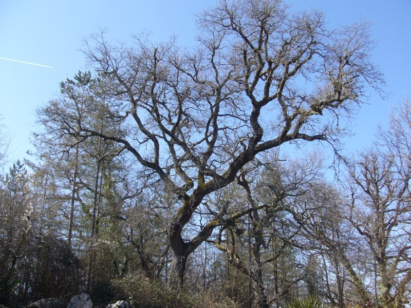 [P1020480.JPG]