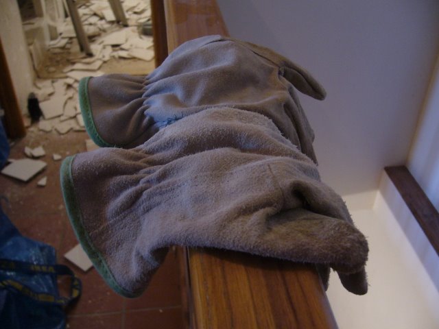 [P1020619.JPG]