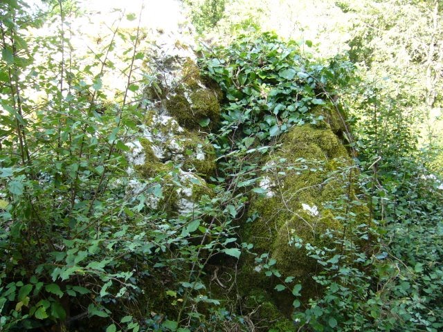 [P1030016.JPG]