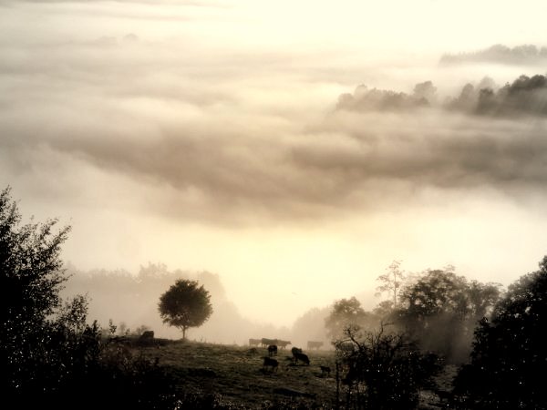 [mist+in+october.jpg]
