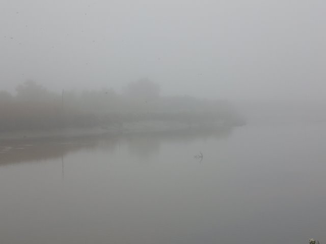 [P1030266.JPG]