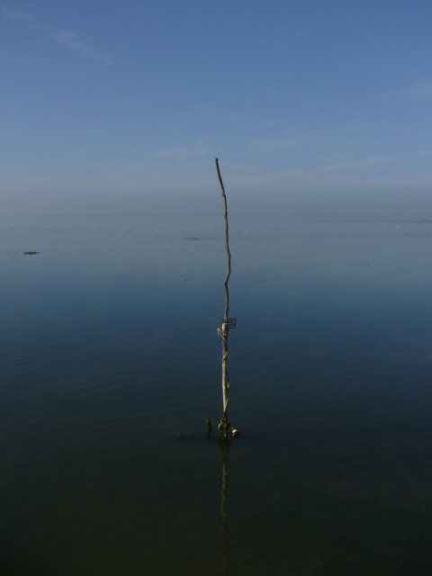 [P1030297.JPG]
