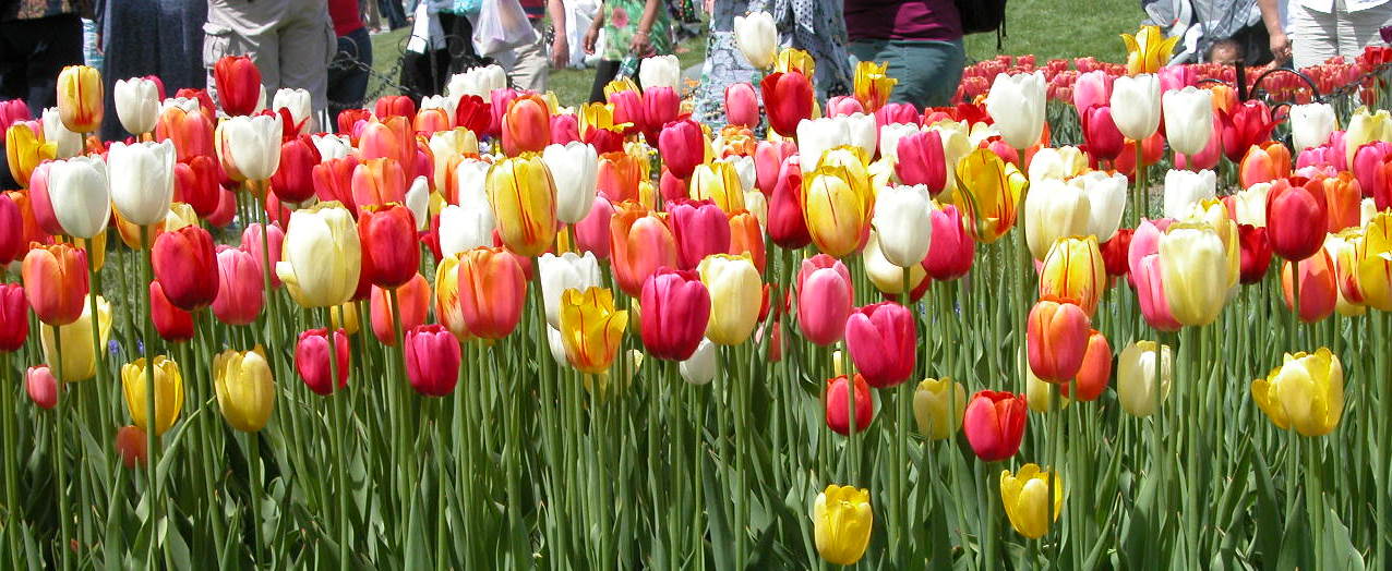 [DSCN0193-1.JPG]