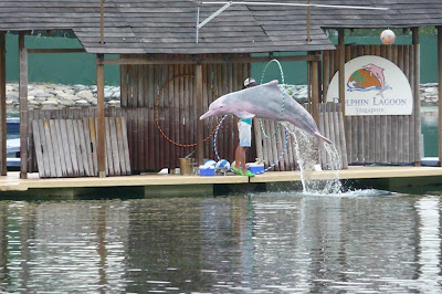 Jumping Dolphin in Singapor, Sentosa
