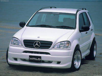 1999 Wald Mercedes-Benz M-Class 1999 Wald Mercedes-Benz M-Class