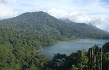 Twin Lake View and Rain forest