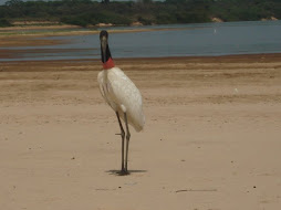 RIO ARAGUAIA