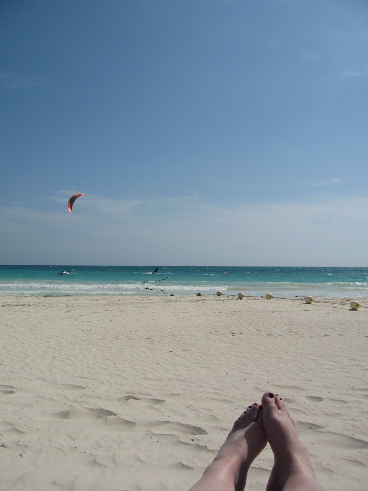 [IMG_3783.JPG]