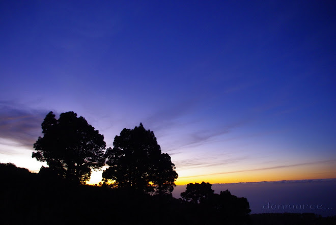 blue sky of La Palma...