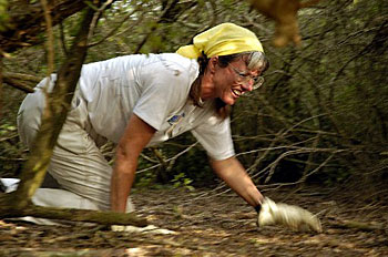 [Sue+Booth--Binczik.jpg]