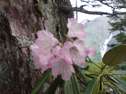 [DSC02845.JPG]