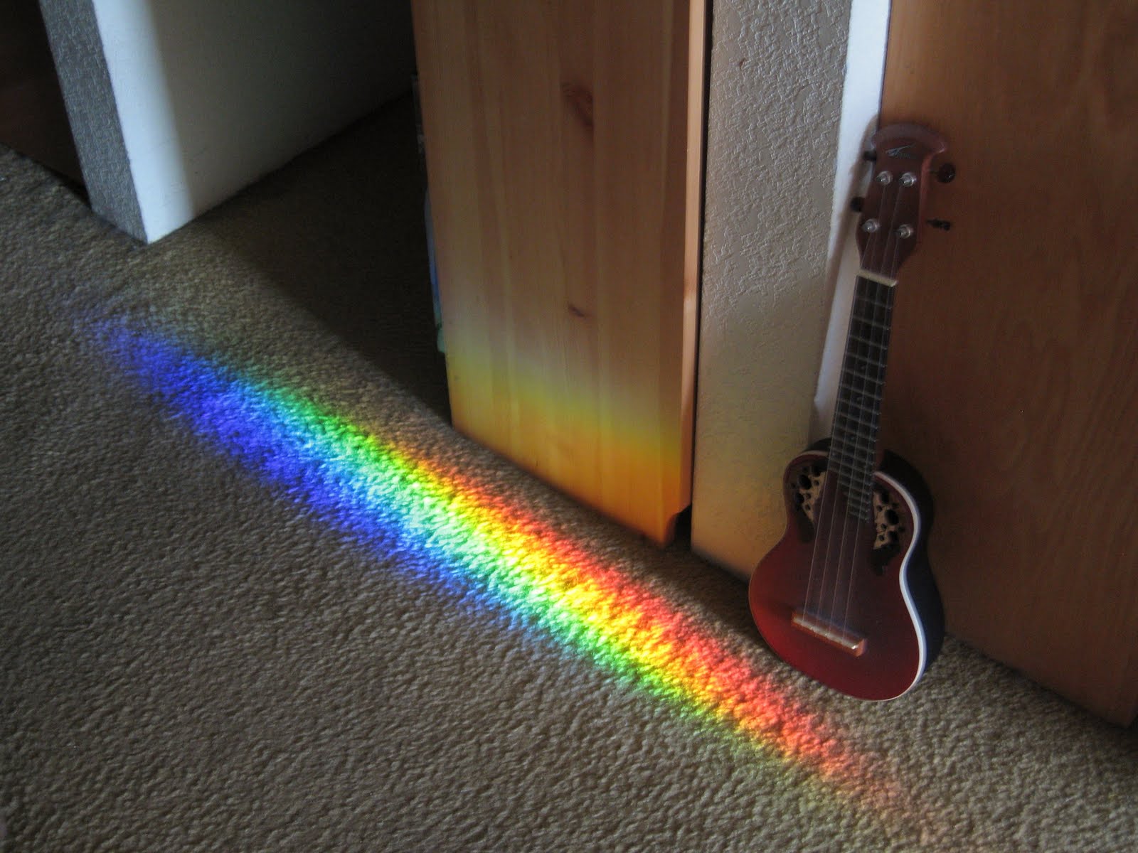 [Spectrum+with+ukulele+February+3,+2010+008.JPG]
