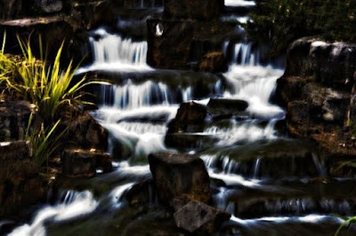 Devonian Botanical Gardens