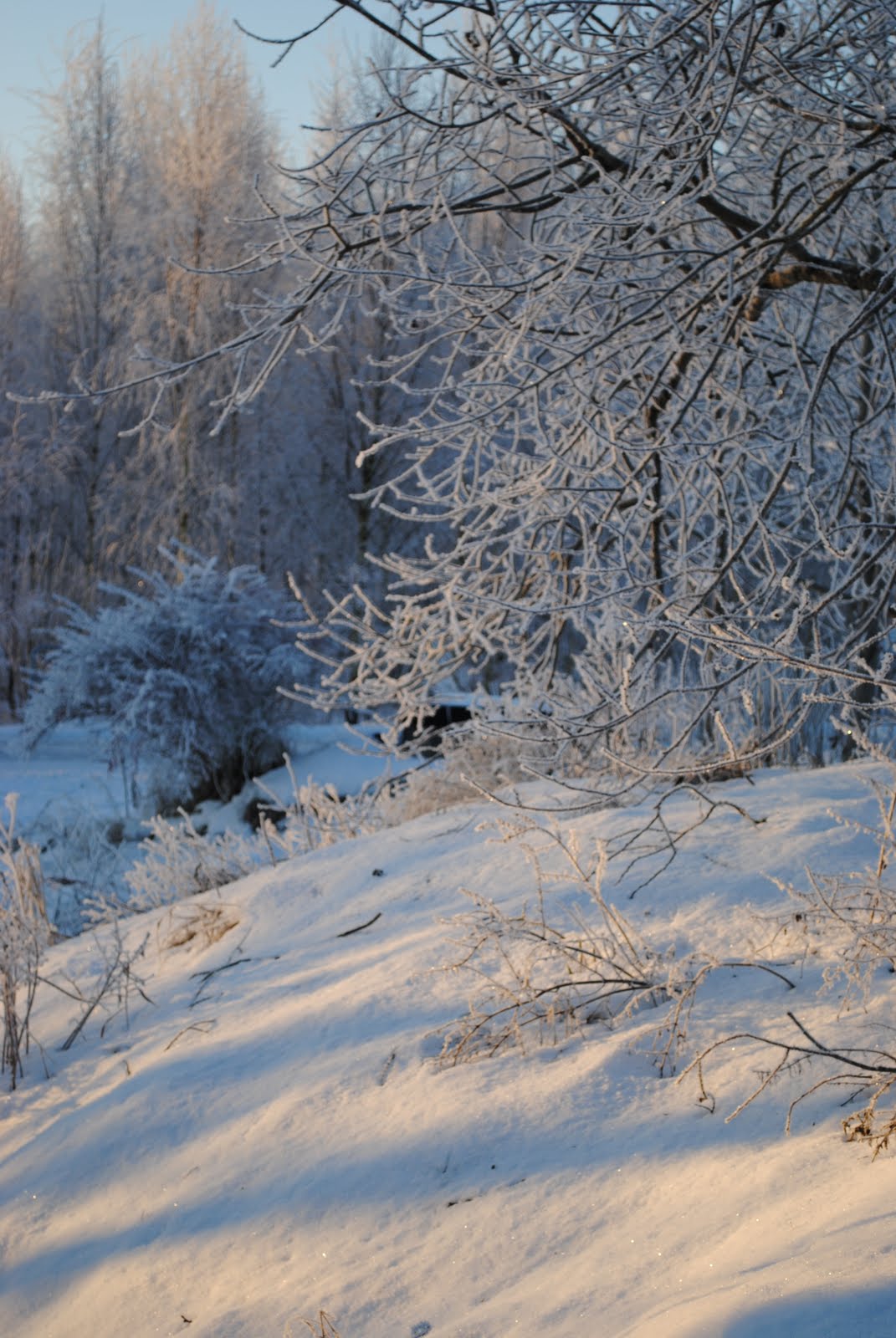 [DSC_2218.JPG]