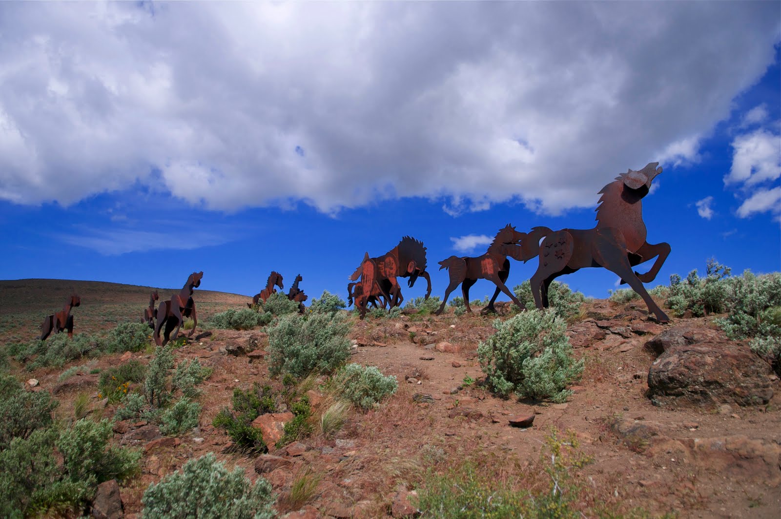 Steel Horses Rick Takagi Photography Blog