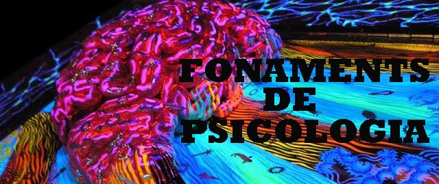 FONAMENTS DE PSICOLOGIA