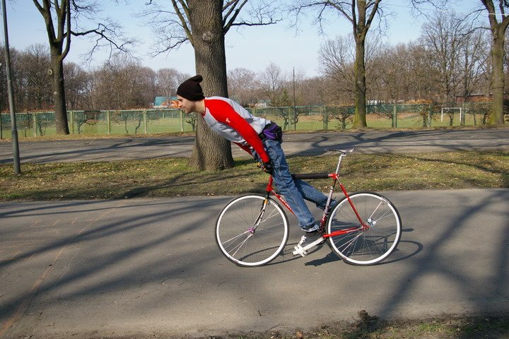 [IMGP5294_resize.JPG]